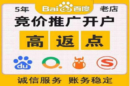 百度搜索推广实战经验：经典案例剖析